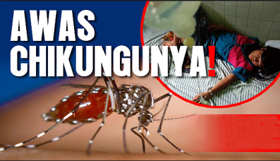 Obat Chikungunya Paling Aman